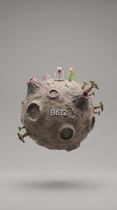 Asteroid B-612 — locked reference